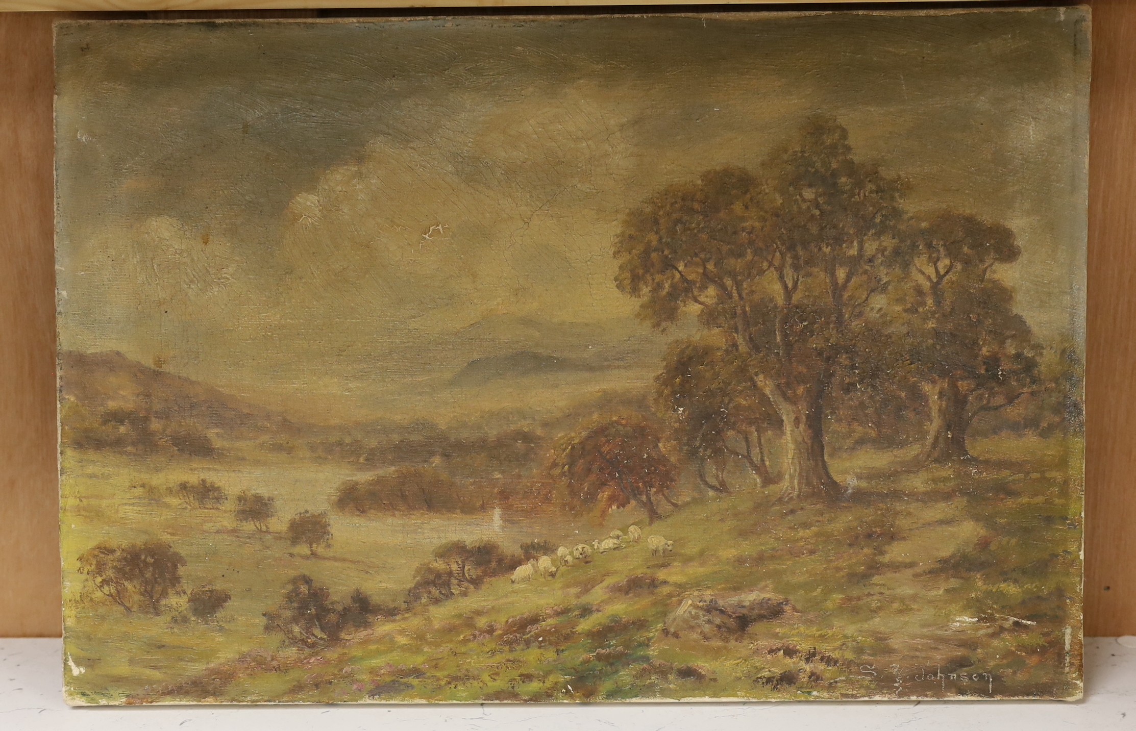 Sidney Yates Johnson (fl.1890-1926), oil on canvas, Sheep on a hillside, signed, 31 x 46 cm. unframed.